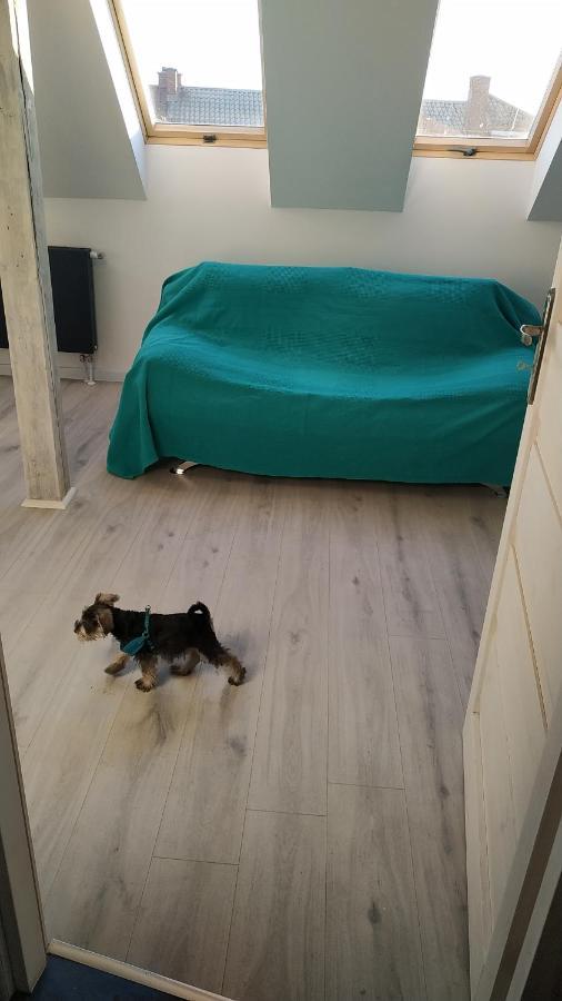 Apartament Witkacego Zielony Słupsk Kültér fotó