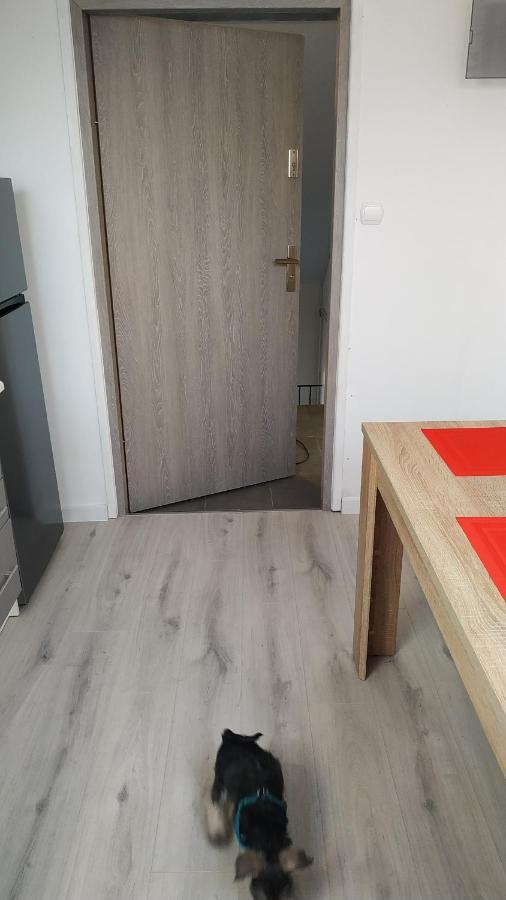 Apartament Witkacego Zielony Słupsk Kültér fotó