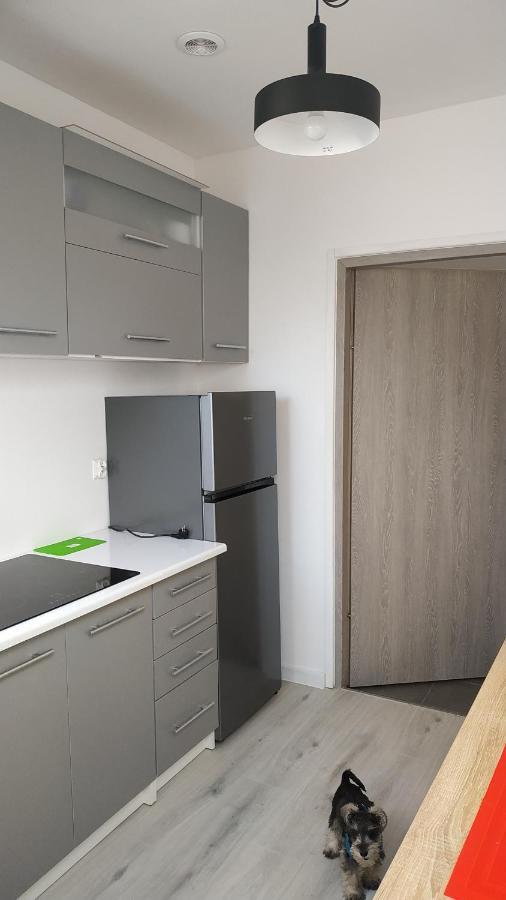 Apartament Witkacego Zielony Słupsk Kültér fotó